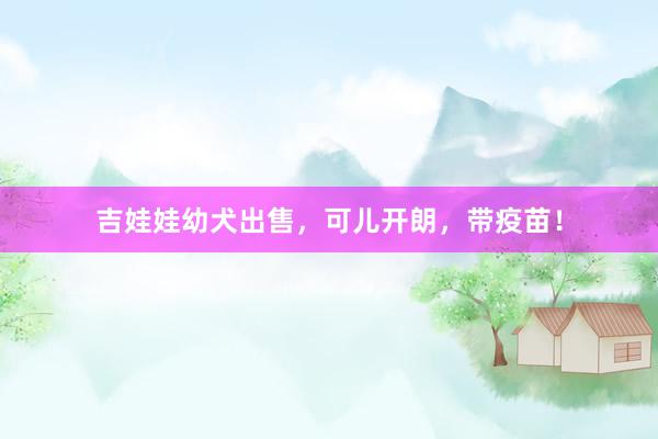 吉娃娃幼犬出售，可儿开朗，带疫苗！
