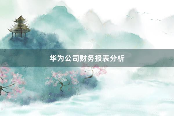 华为公司财务报表分析