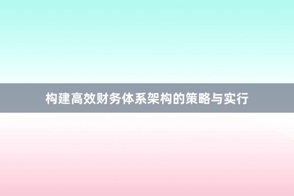 构建高效财务体系架构的策略与实行